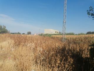 Finca rústica a Camino de Ronda. ¡oportunidad única en granada! este espectacular terreno rústico