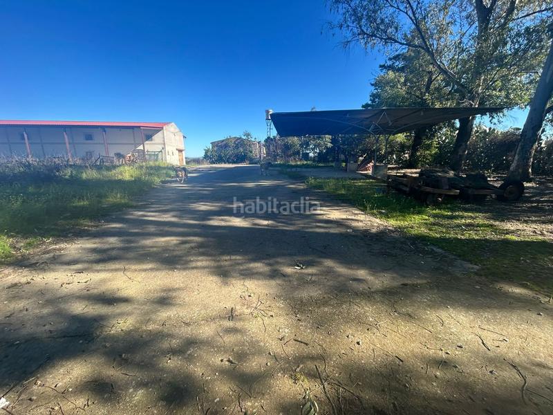 Foto be11da2e-1ac1-463e-bb90-21d4e93f8914. Finca rústica a Coria