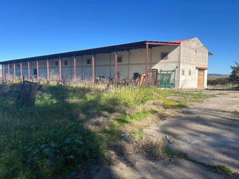 Foto bec7e9bc-46e8-4be8-b5ea-a961f3a7be06. Finca rústica a Coria
