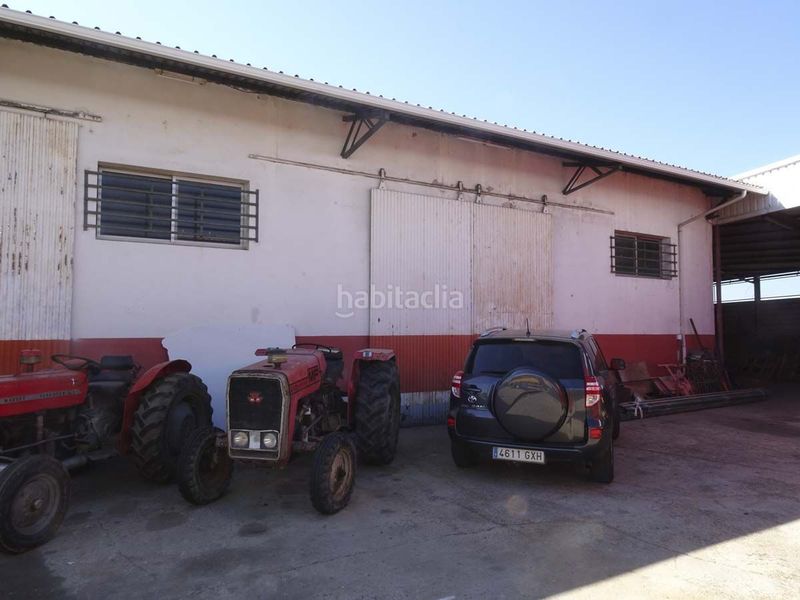 Foto c7c9f155-b7cf-420c-a0d8-1b741681f835. Affitto locale commerciale in Moraleja