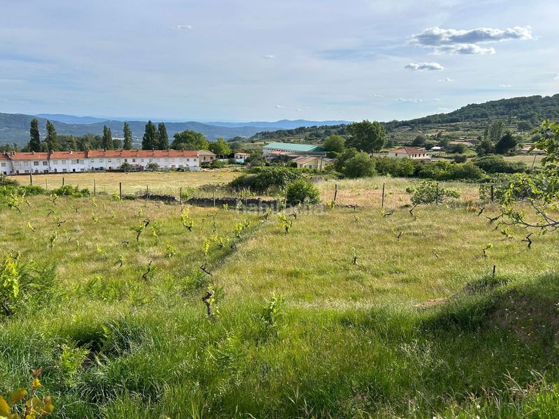 Foto 25580ec7-7aa1-45d6-9a0a-a57e8485e273. Finca rústica a Villamiel