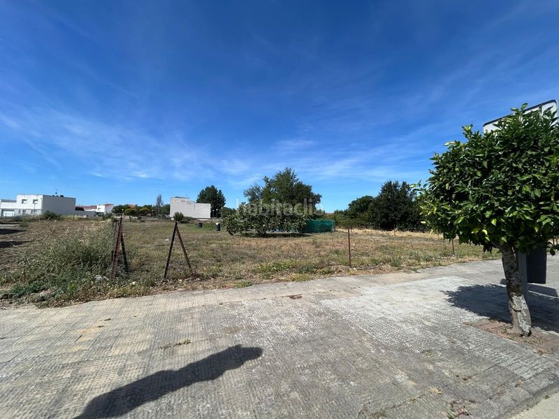 Foto ebb60f2a-7b58-446b-9001-e8a62d4b45db. Terreny residencial a Moraleja