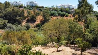 Propriété à Calle casares 10. Parcela rústica con vistas en ojén, a solo 5 minutos de marbella