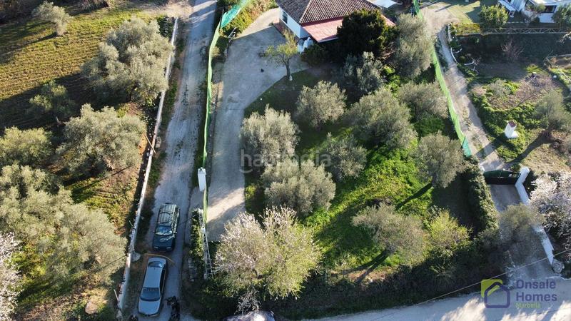 Foto a2e5ad3d-db0e-431d-a147-99af96ae9a5e. Bauernhof in Monda 19 in Monda