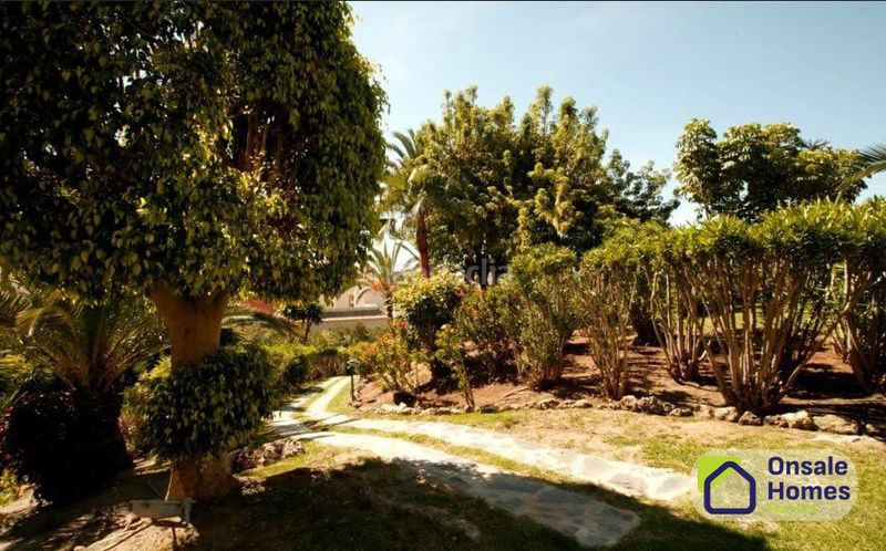 Foto 3eadda19-85ad-42de-bd7f-13a3baf12d14. Apartament amb aparcament a Las Brisas Marbella