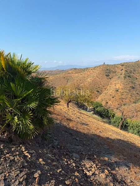 Foto 61b3c334-92d9-4751-83d7-7975ce862b53. Finca rústica a Sexmo Cártama