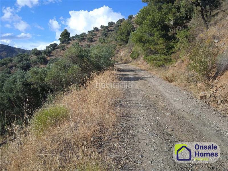 Foto 064fafc9-a642-47b0-bfd5-3aa5cb9e110f. Finca rústica a Pinares de San Antón Málaga