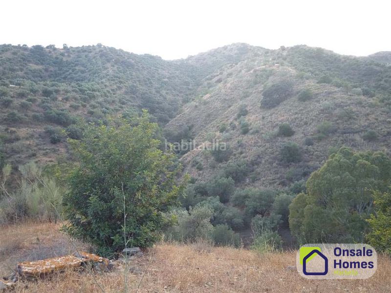 Foto 1689b8ce-50b4-4644-bfe1-117c648699a3. Finca rústica a Pinares de San Antón Málaga