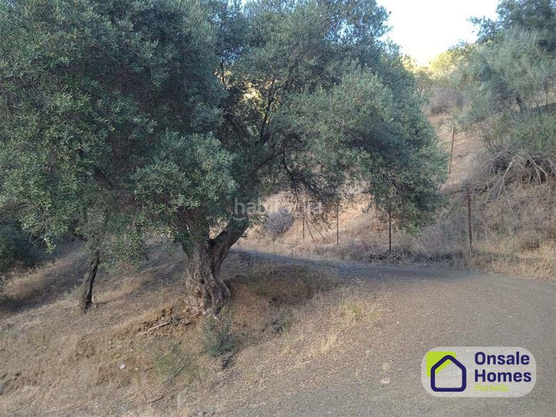 Foto 5f5a3a68-515a-4881-b477-49ea7f8b32c8. Finca rústica a Pinares de San Antón Málaga