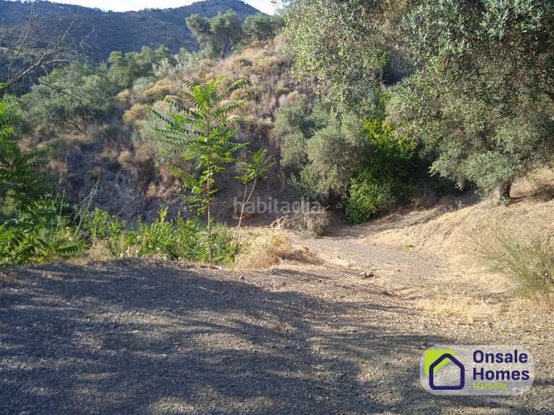 Foto b0f2ec14-1f1f-4300-a569-16cb6fddf760. Finca rústica a Pinares de San Antón Málaga