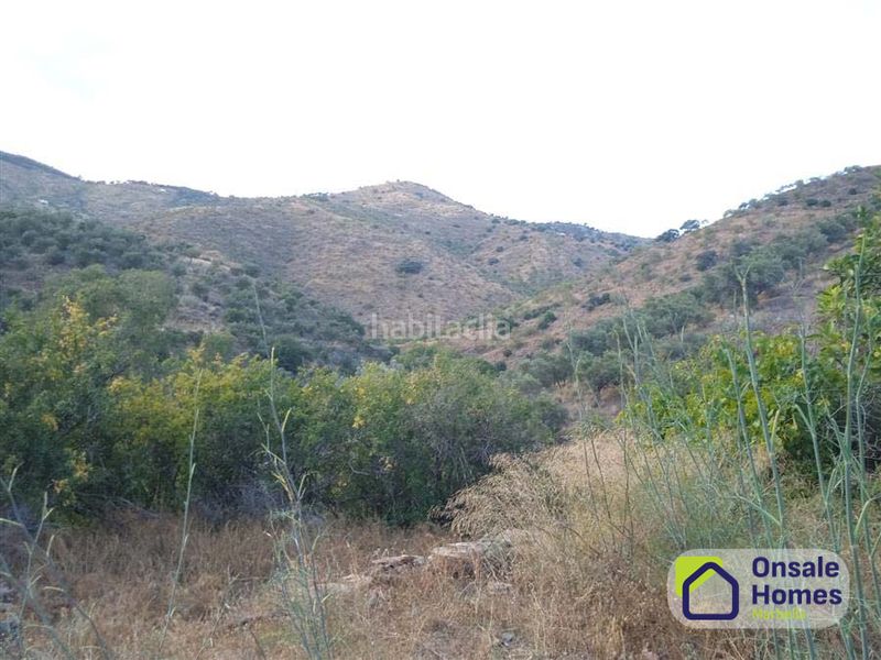 Foto c9fa6036-3f94-4050-9b96-98e2a71d3dd6. Finca rústica a Pinares de San Antón Málaga
