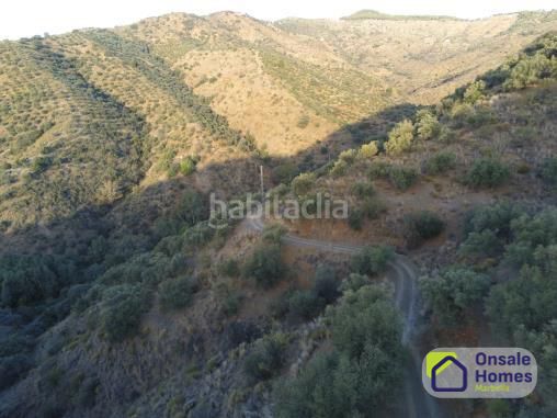 Foto d7a6a0e9-3cc4-4c32-a509-c1c2c7e3dda7. Finca rústica a Pinares de San Antón Málaga