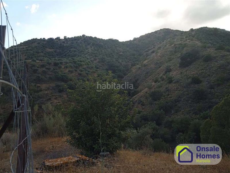 Foto f18b78d4-0691-4770-905c-22fda702ea87. Finca rústica a Pinares de San Antón Málaga