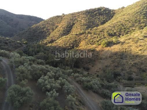 Foto 03e86dd4-e545-415a-b0d0-fed10400a72a. Finca rústica en Pinares de San Antón Málaga