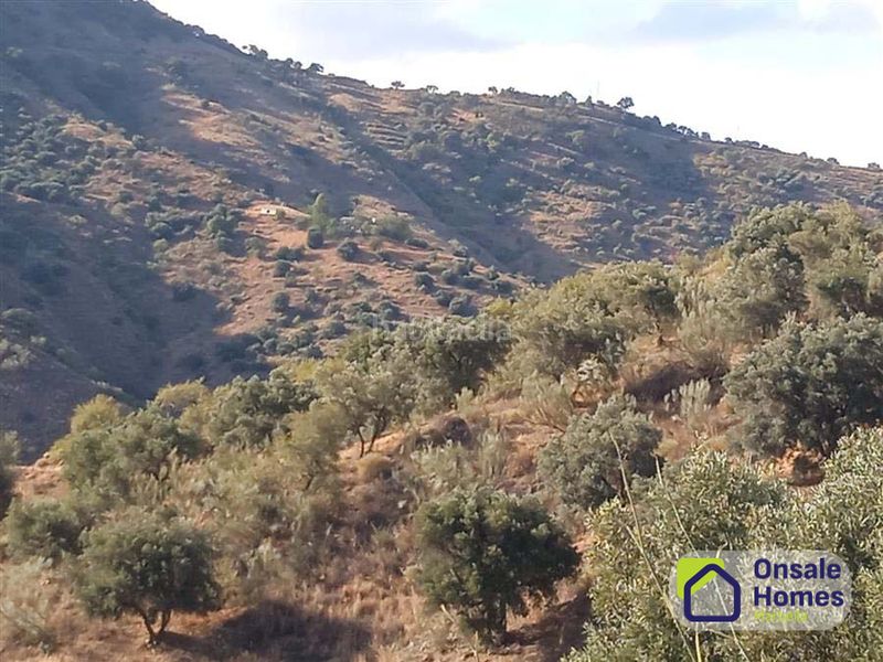 Foto ca91728e-dfcb-4f76-9c20-0fa425726af4. Finca rústica en Pinares de San Antón Málaga