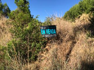 Residential Plot  Carrer pi tres branques. Terreno semi llano en caldes de montbui