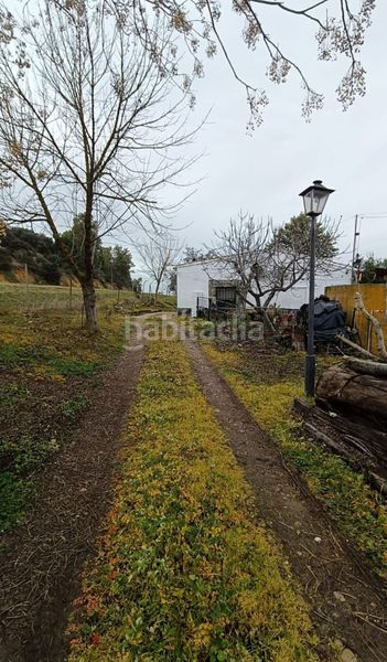 Foto 00b27772-9511-4cf1-a0ae-035af9bd7dce. Mas dans n/a dans Talavera la Real