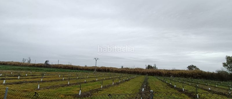 Foto 41800bcc-a660-4959-b709-42a23f1b611d. Mas dans n/a dans Talavera la Real