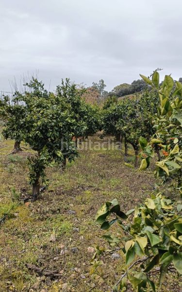 Foto 978241f4-6a37-4a1d-8373-c0eba75a021d. Mas dans n/a dans Talavera la Real
