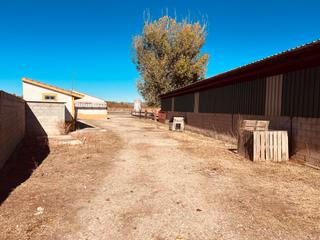 Finca rstica  Calle mayor. Finca ganadera en venta