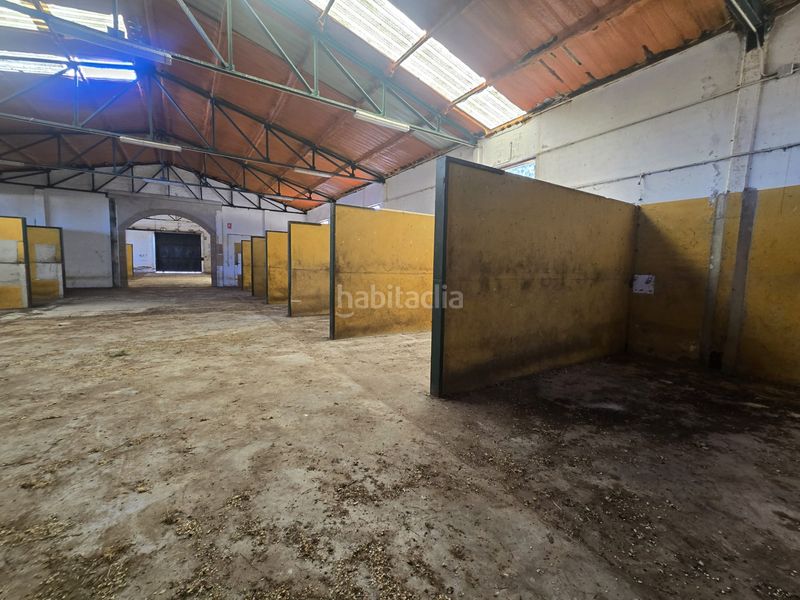 Foto 005b145f-d6f8-4f0d-a083-113423481a92. Finca rústica a calle hernán cortés 20 a Jaraicejo