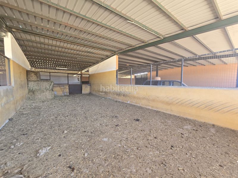 Foto 008a994e-804c-44a3-8d36-f9927e173371. Finca rústica a calle hernán cortés 20 a Jaraicejo