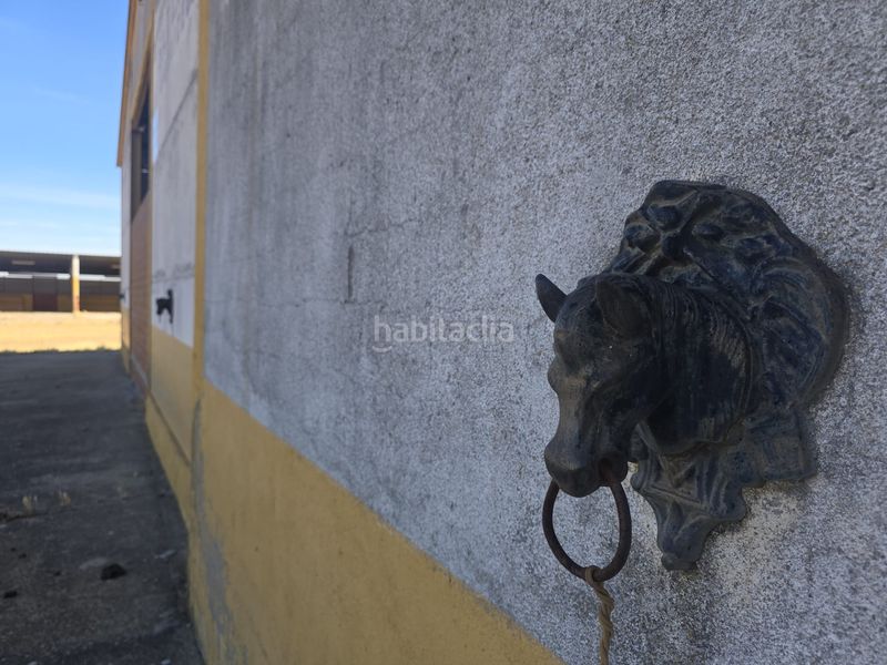 Foto 02ea10c9-4bdb-4efe-a8fa-b0cd137d3960. Finca rústica a calle hernán cortés 20 a Jaraicejo