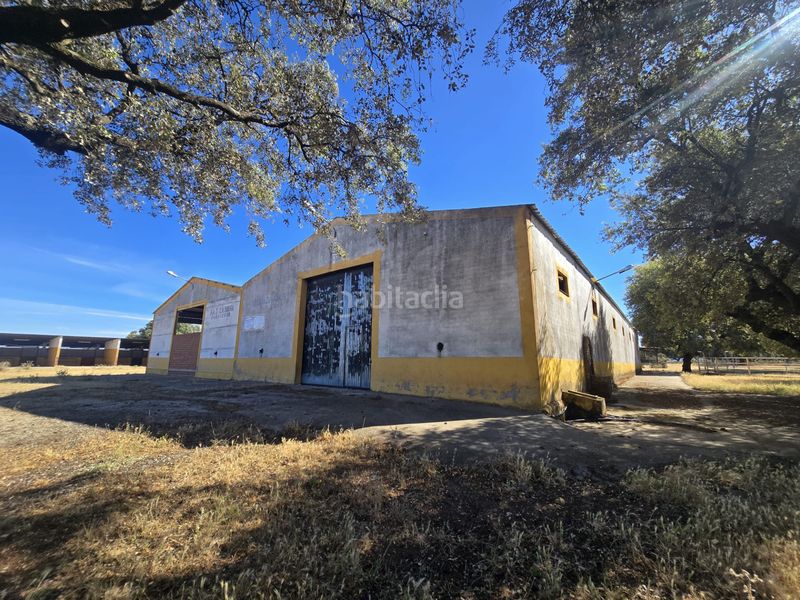 Foto 052bc9f4-2fc8-4e47-b7bd-5a10052bb089. Finca rústica a calle hernán cortés 20 a Jaraicejo