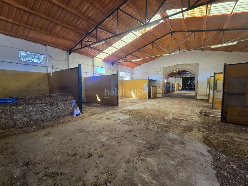 Foto 056abab6-6926-4170-92d5-512570a4d76f. Finca rústica a calle hernán cortés 20 a Jaraicejo