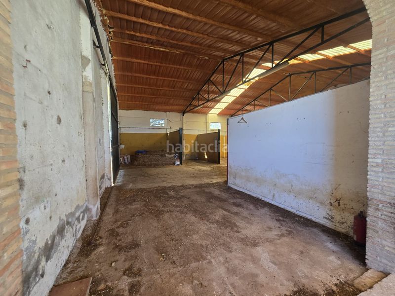 Foto 06a7259e-83c3-4e47-ba39-5c780a9ada0f. Finca rústica a calle hernán cortés 20 a Jaraicejo