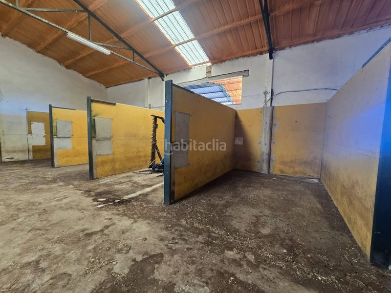 Foto 176c11dd-b3e5-4e0f-a895-74b9e272487b. Finca rústica a calle hernán cortés 20 a Jaraicejo