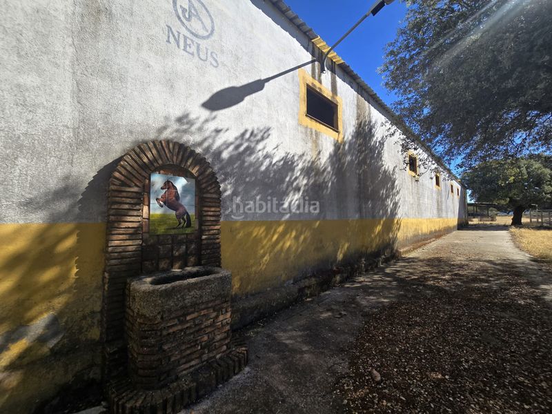 Foto 1e648d93-5029-4af3-a04b-67d134c66d76. Finca rústica a calle hernán cortés 20 a Jaraicejo