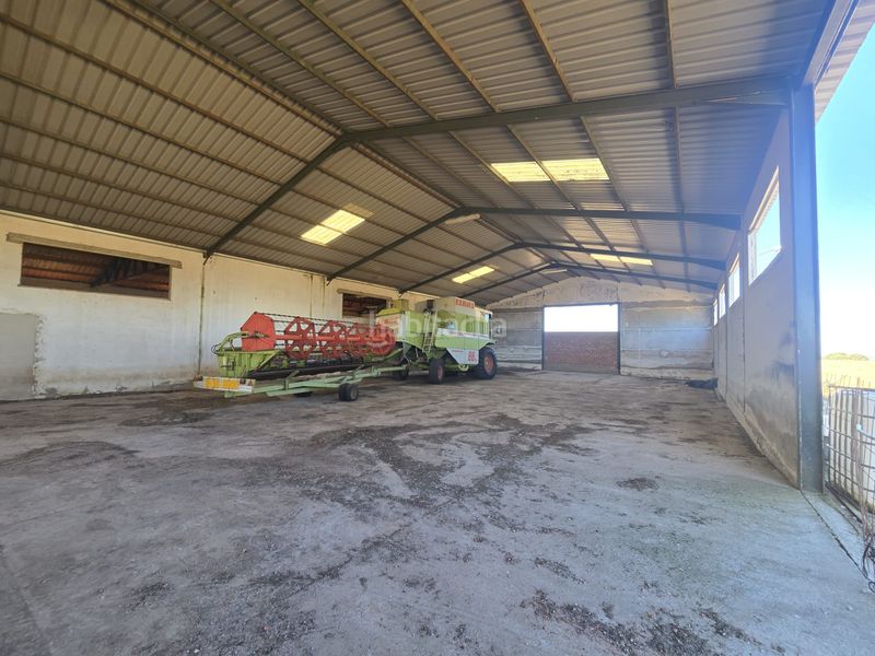 Foto 2b0572f1-41c4-481d-9603-9f6547a1b8ed. Finca rústica a calle hernán cortés 20 a Jaraicejo