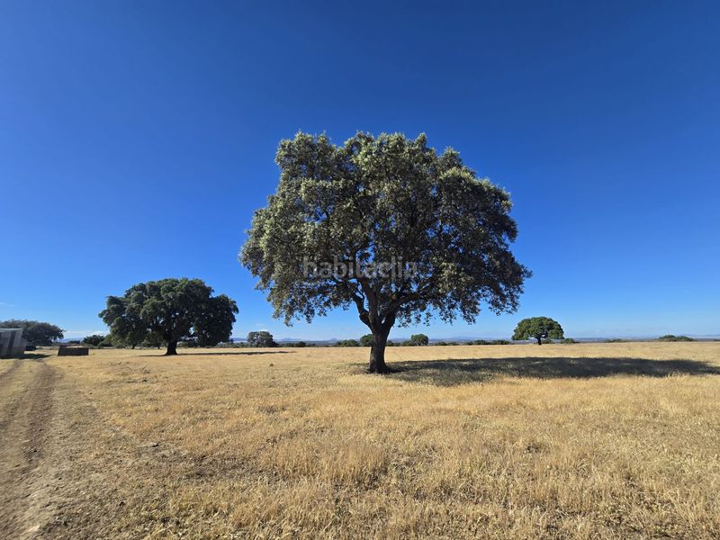 Foto 2d33da08-c8b1-44d1-b05a-8c2a9705ae73. Finca rústica a calle hernán cortés 20 a Jaraicejo