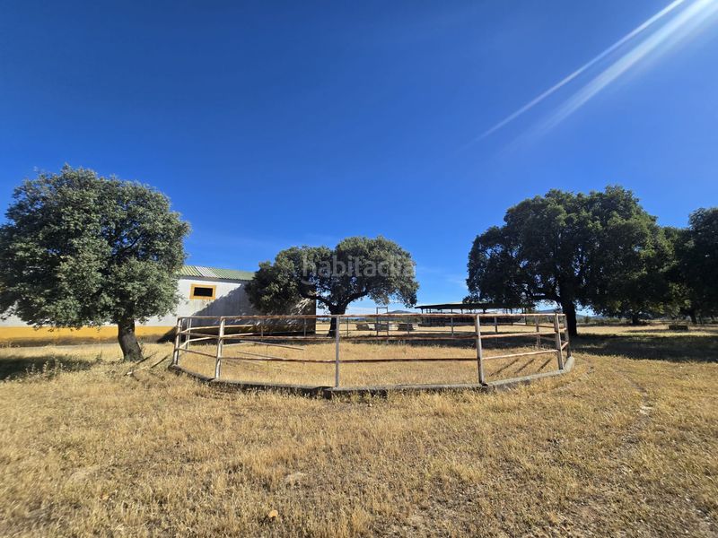 Foto 3c40e179-9ec9-4f7d-858c-2629ab4de2b2. Finca rústica a calle hernán cortés 20 a Jaraicejo