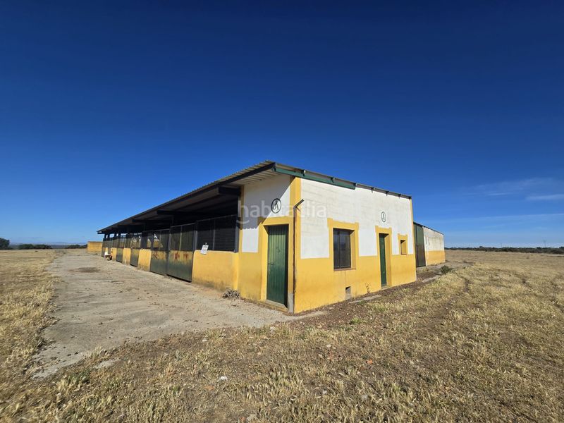 Foto 40539c70-44d8-4734-b1e8-27a51b4fafff. Finca rústica a calle hernán cortés 20 a Jaraicejo