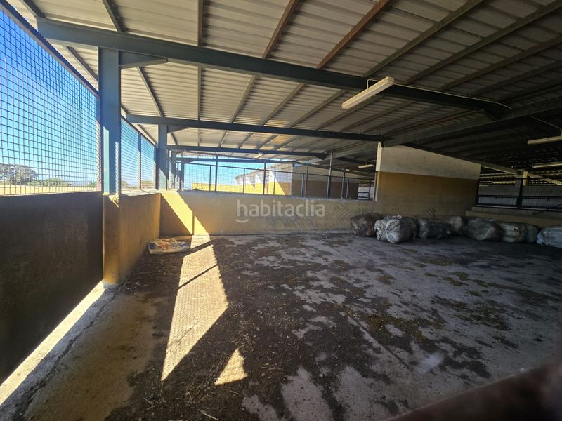 Foto 472e8c22-3b21-464a-98ff-c855efeee840. Finca rústica a calle hernán cortés 20 a Jaraicejo