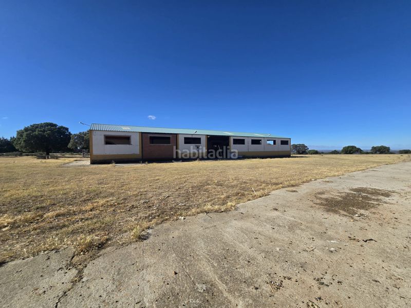Foto 63b3491e-1e01-4719-986e-832c3f06088a. Finca rústica a calle hernán cortés 20 a Jaraicejo