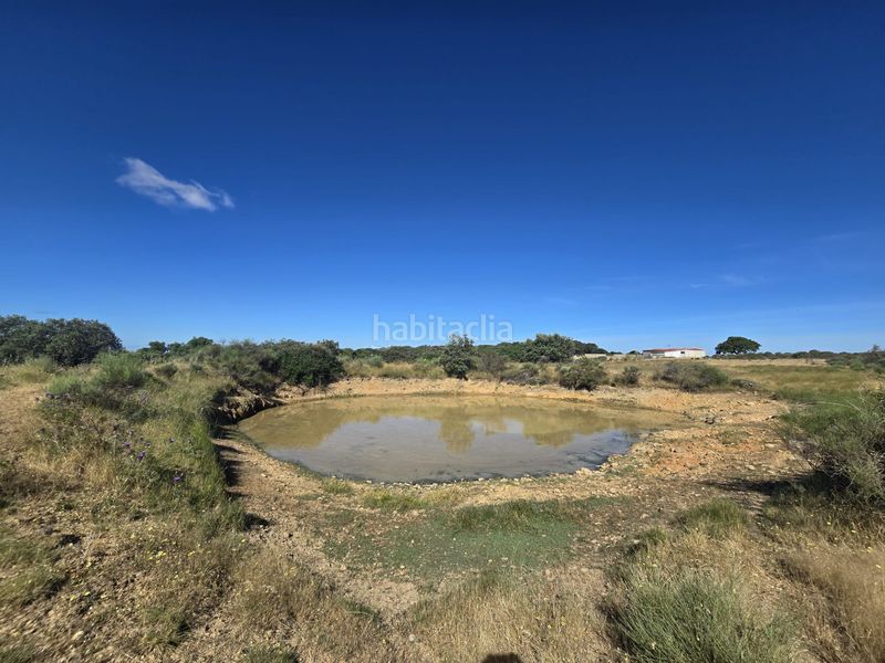 Foto 688f9757-5e0c-49e8-a7d7-7a185a6dd4db. Finca rústica a calle hernán cortés 20 a Jaraicejo