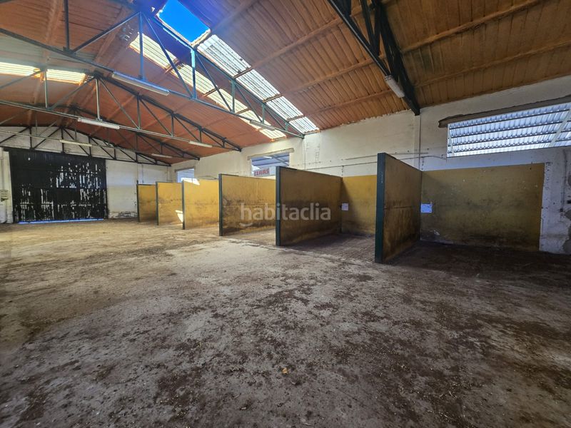 Foto 813c5a15-2a94-4333-9fae-b4964739fe10. Finca rústica a calle hernán cortés 20 a Jaraicejo