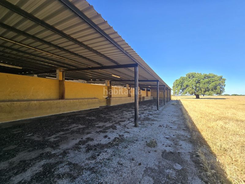 Foto 915c306c-3047-4253-bce3-54c76d56f3a6. Finca rústica a calle hernán cortés 20 a Jaraicejo