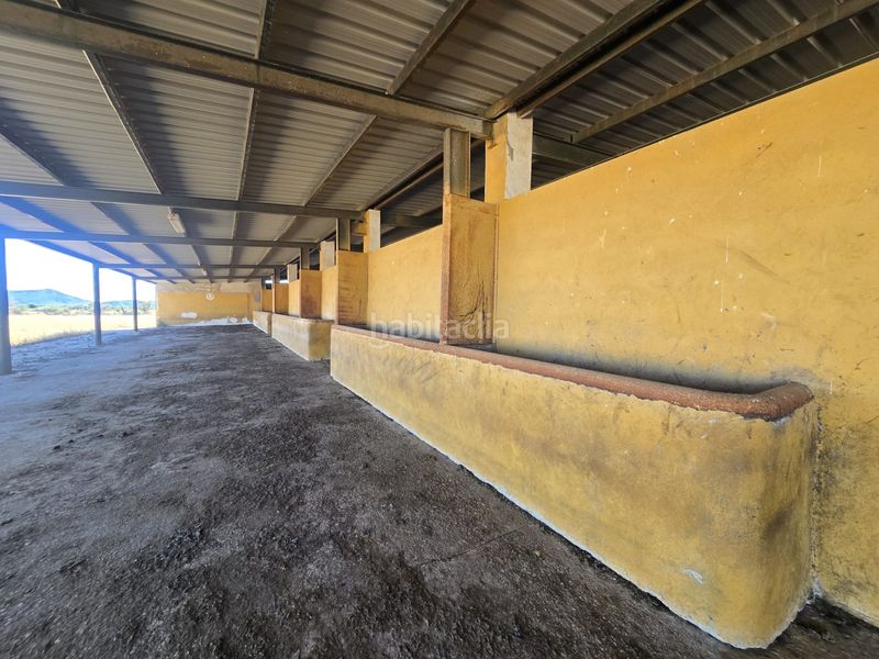 Foto 915effa0-dade-4086-a4f6-0999b09d2750. Finca rústica a calle hernán cortés 20 a Jaraicejo