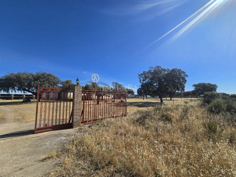 Foto ab01f09c-9e69-4b65-8081-37b3a14587ef. Finca rústica a calle hernán cortés 20 a Jaraicejo