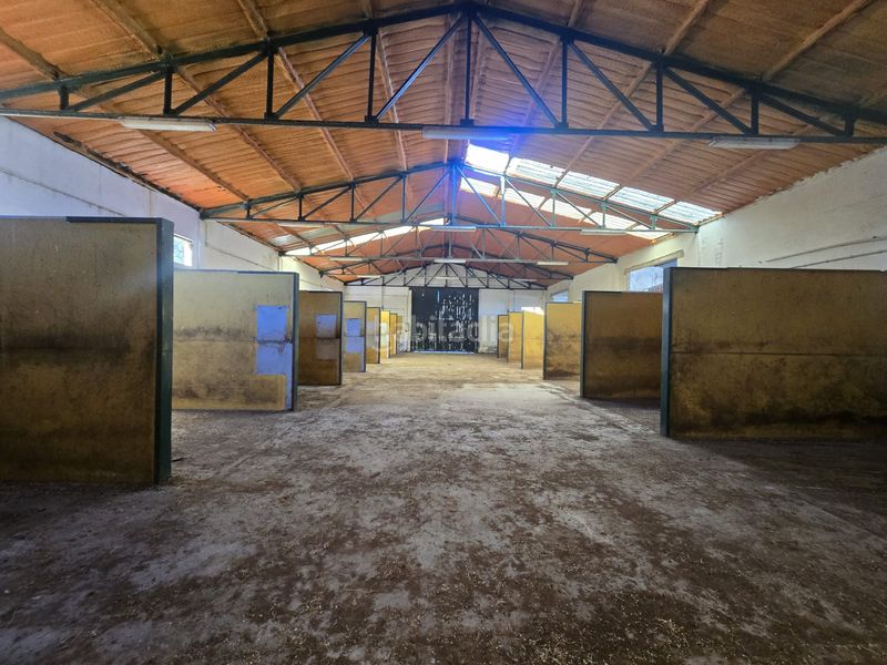 Foto ad1779d9-8d84-4b10-a9a2-4d969bc95db5. Finca rústica a calle hernán cortés 20 a Jaraicejo