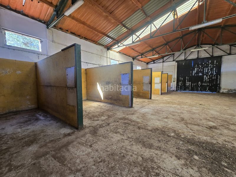 Foto afeaecf3-ce99-463d-adc6-5116cf161ff2. Finca rústica a calle hernán cortés 20 a Jaraicejo