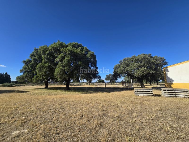 Foto c04a2f4d-bd46-43fd-8374-f8ca71a91751. Finca rústica a calle hernán cortés 20 a Jaraicejo