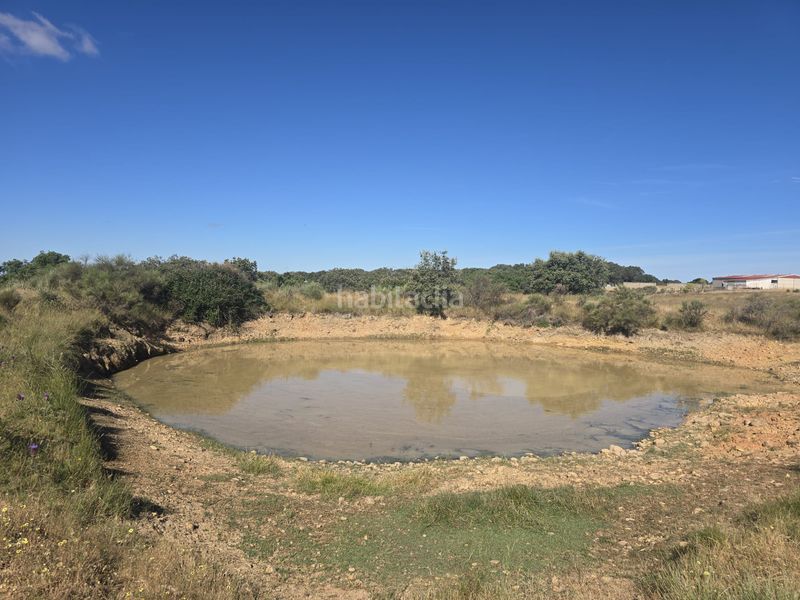 Foto c229687c-3140-4458-bf8b-88bb2b1b8253. Finca rústica a calle hernán cortés 20 a Jaraicejo