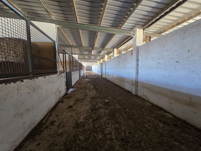Foto c5829386-b879-456d-9b8f-d7fe025383fb. Finca rústica a calle hernán cortés 20 a Jaraicejo