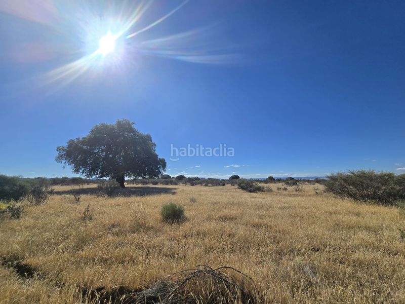 Foto c6ebc833-0a18-4c70-9387-be298e86939b. Finca rústica a calle hernán cortés 20 a Jaraicejo