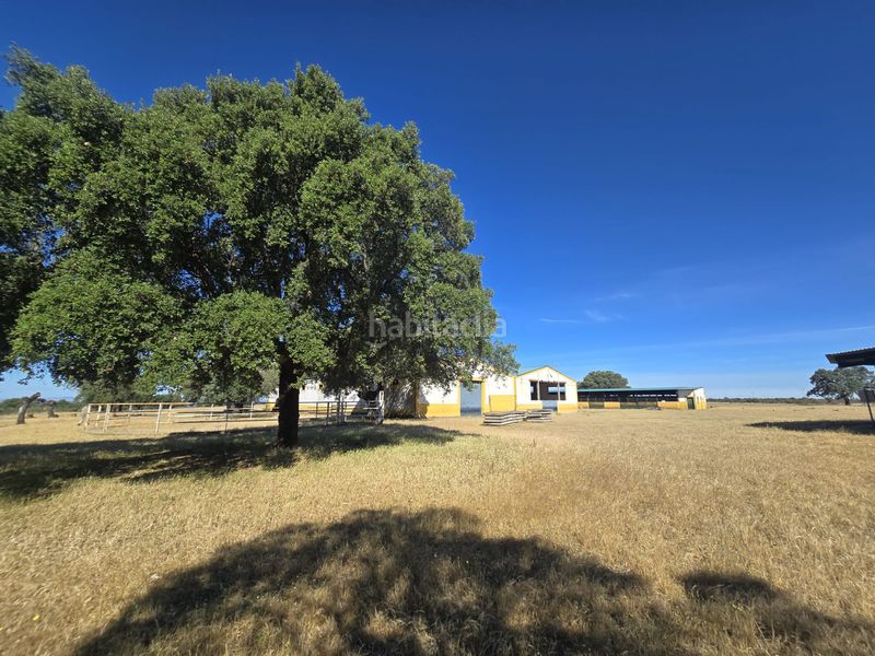 Foto e599d28d-d813-43f7-a66c-05465a7c7808. Finca rústica a calle hernán cortés 20 a Jaraicejo